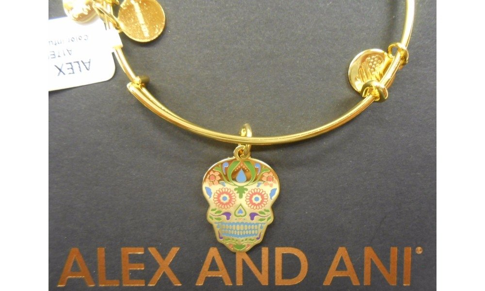 Alex and Ani Color Infusion, Calavera EWB Bangle Bracelet