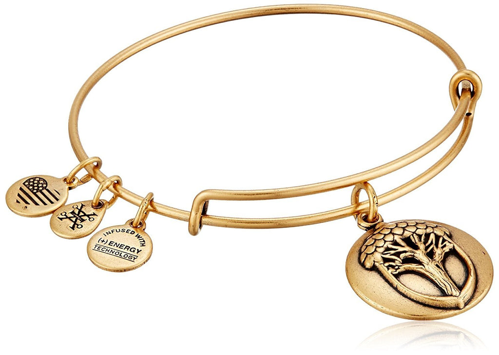 Alex and Ani Unexpected Miracles II Expandable Rafaelian Bangle Bracelet