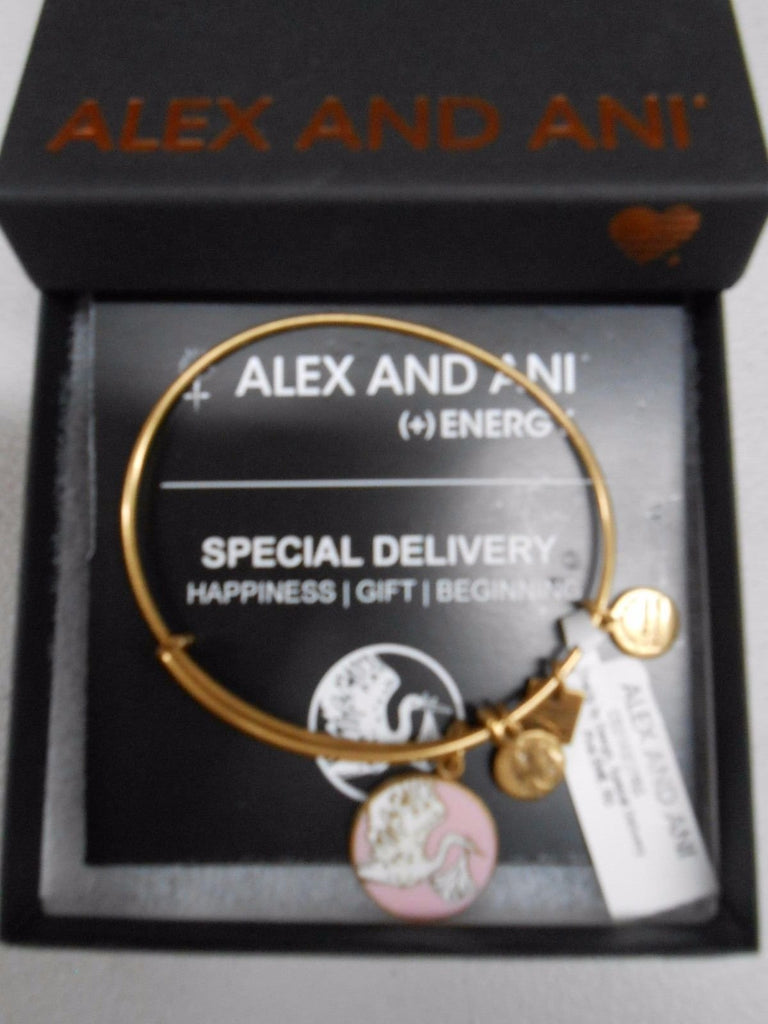 Alex and Ani Charity by Design Special Delivery Bangle Bracelet