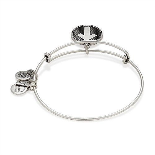 Alex and Ani Brass Stand Up Charm Bangle Bracelet in Rafaelian Silver Finish CBD14SUTCRS