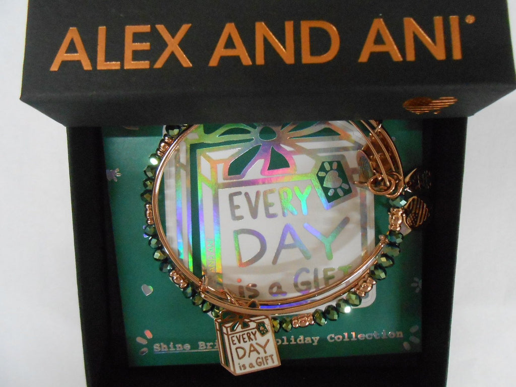 Alex and Ani Womens Everyday Is A Gift Set Of 2 Bracelet