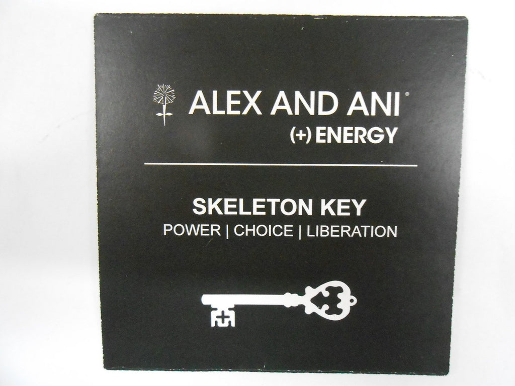 Alex and Ani Women's Skeleton Key Charm Bangle Rafaelian Silver Finish One Size