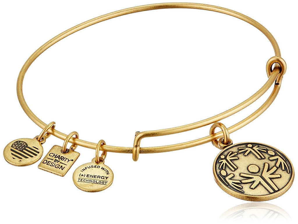 Alex and Ani Charity by Design Power of Unity Bangle Bracelet