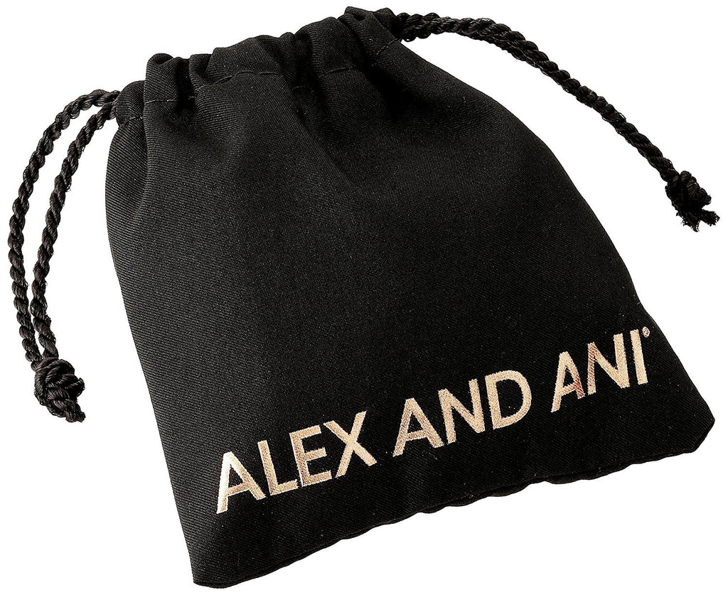 Alex and Ani Words are Powerful Bangle Bracelet