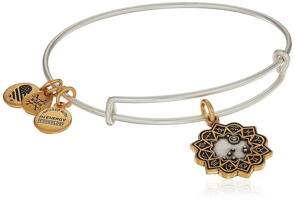 Alex and Ani Women's Capricorn Two Tone Bangle Bracelet