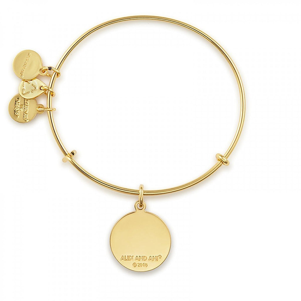 Alex and Ani Armed Forces US Air Force Expandable Wire Bangle Charm Bracelet