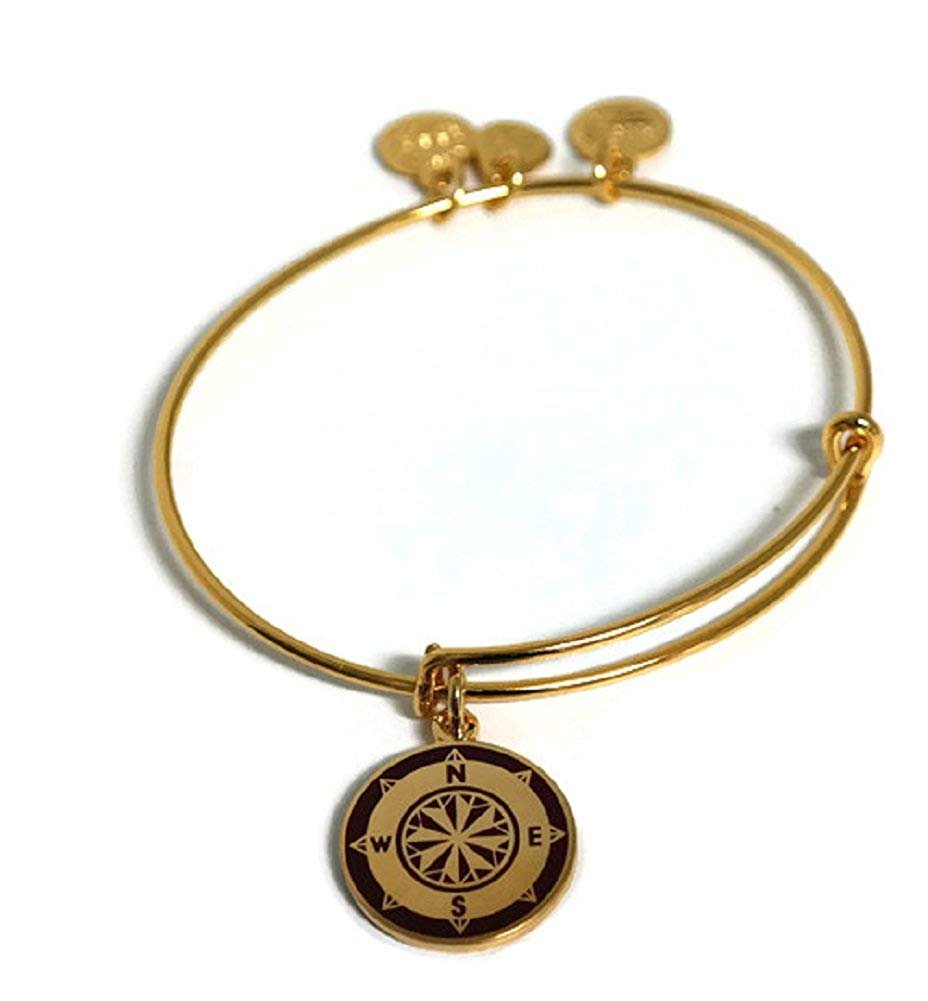 Alex and Ani Cabernet Compass Charm Bangle Yellow Gold Finish Bracelet, A15EB55YG