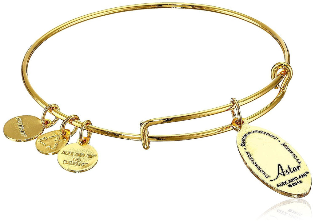 Alex and Ani Star of Mystery Aster Expandable Wire Bangle Bracelet