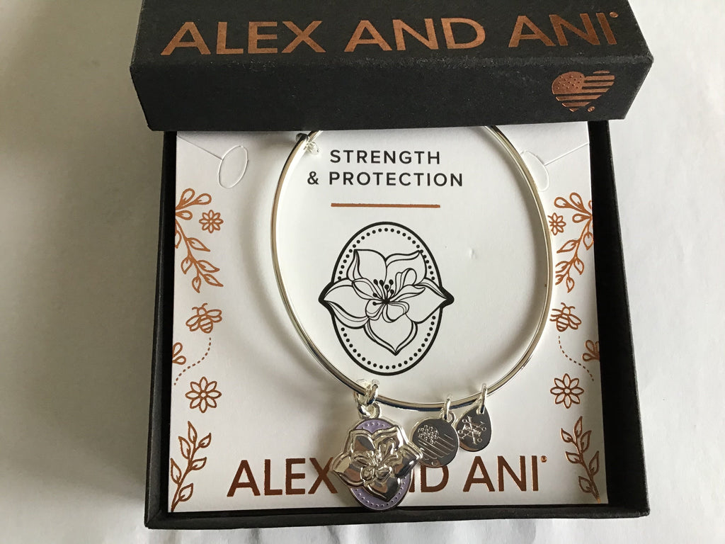 Alex and Ani Color Infusion Bangle Bracelet