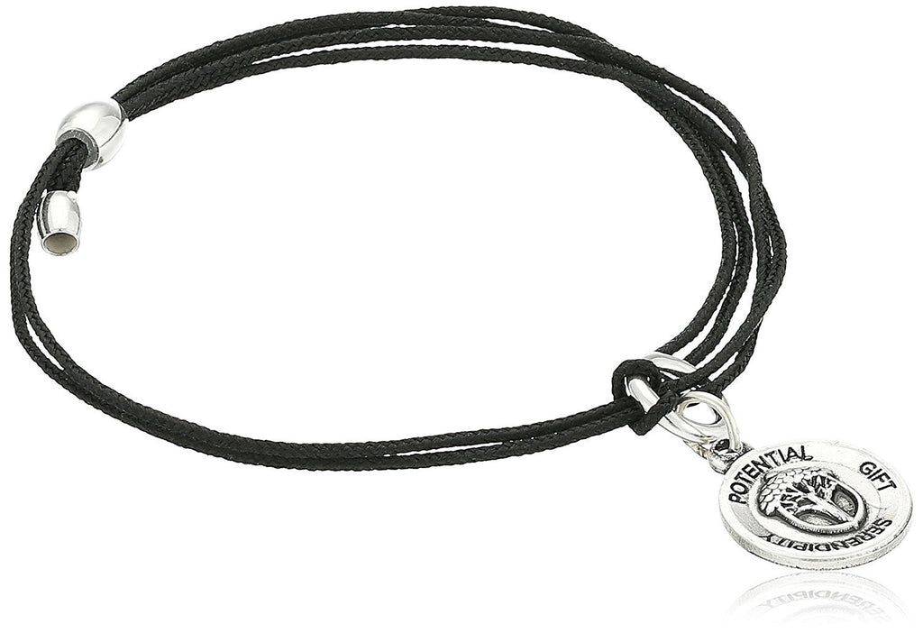 Alex and Ani Unexpected Miracles Rafaelian Silver Charm Bracelet