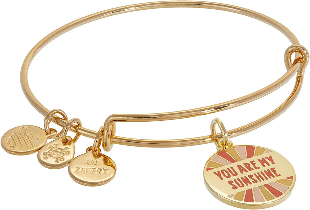 Alex and Ani Words are Powerful, You are My Sunshine Bracelet