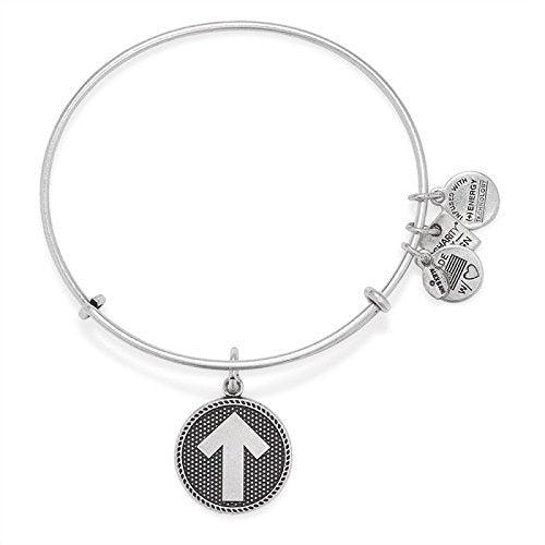 Alex and Ani Brass Stand Up Charm Bangle Bracelet in Rafaelian Silver Finish CBD14SUTCRS