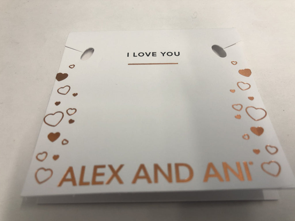 Alex and Ani Because I Love You Aunt IV EWB, SAS, Shiny Antique Silver, Expandable (A20BILY07SAS)