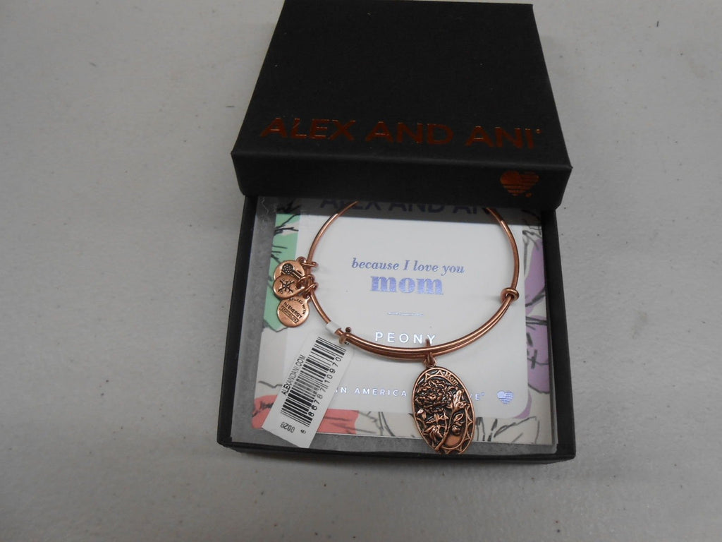 Alex and Ani Because I Love You, Mom II Expandable Rafaelian Bracelet