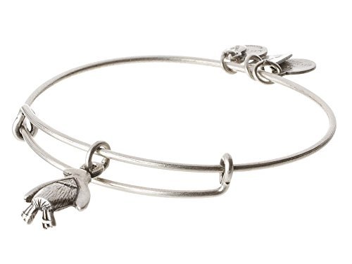 Alex and Ani Women's Penguin Charm Bangle Rafaelian Silver Finish One Size