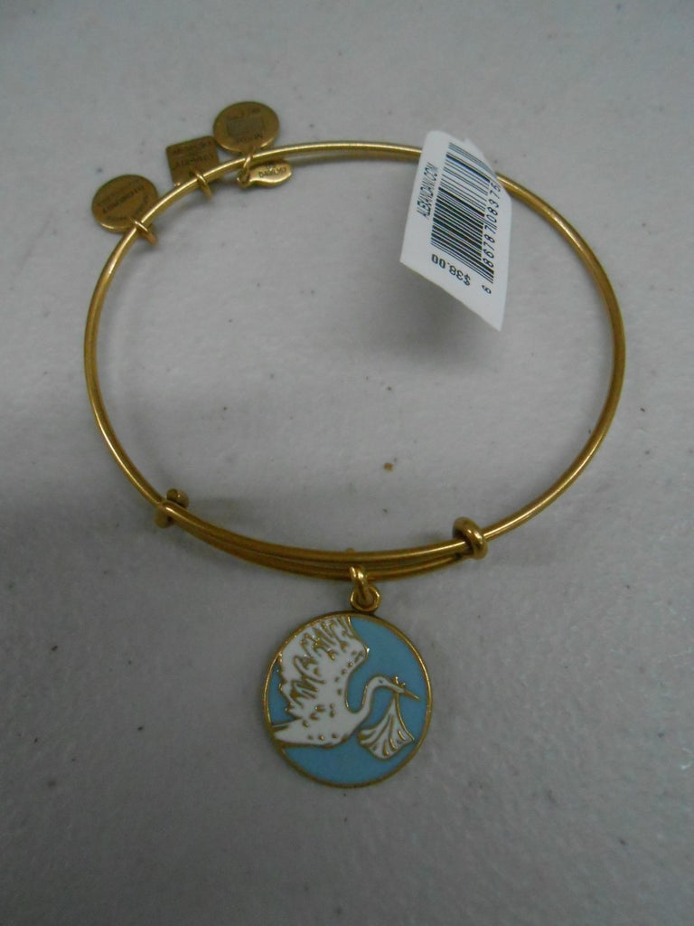 Alex and Ani Charity by Design Special Delivery Bangle Bracelet