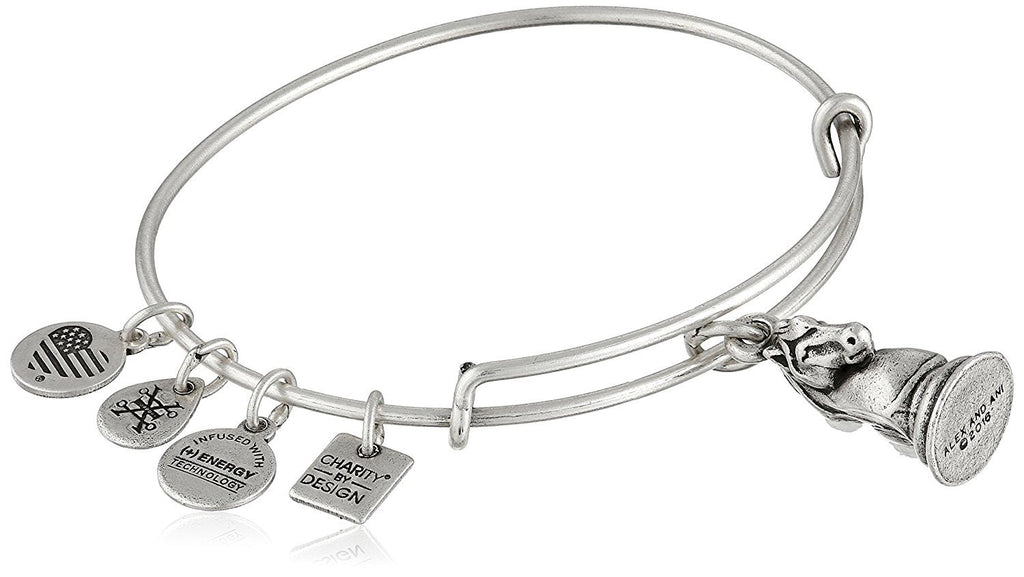 Alex and Ani The Knight Expandable Rafaelian Bangle Bracelet