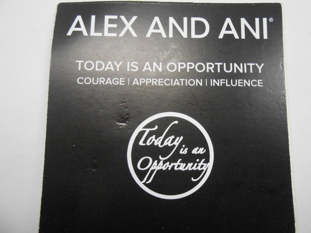 Alex and Ani Charity By Design Today Is An Opportunity Bangle Bracelet