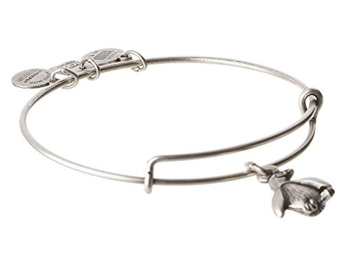 Alex and Ani Women's Penguin Charm Bangle Rafaelian Silver Finish One Size