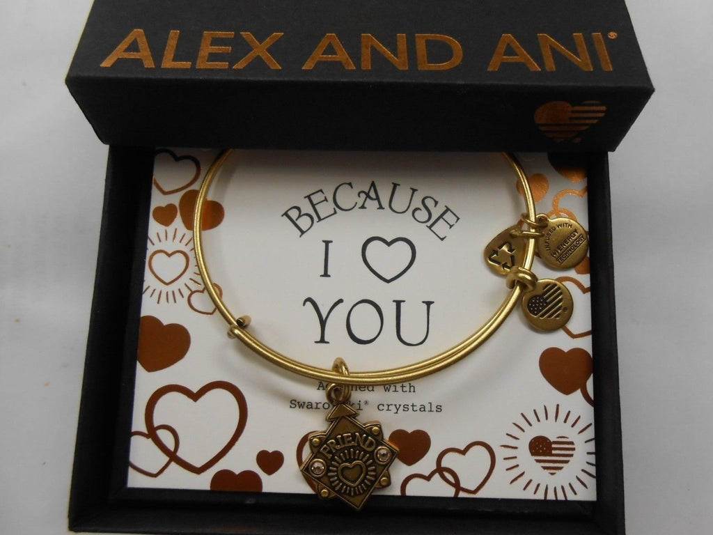 Alex and Ani Womens Because I Love You Friend III Bangle