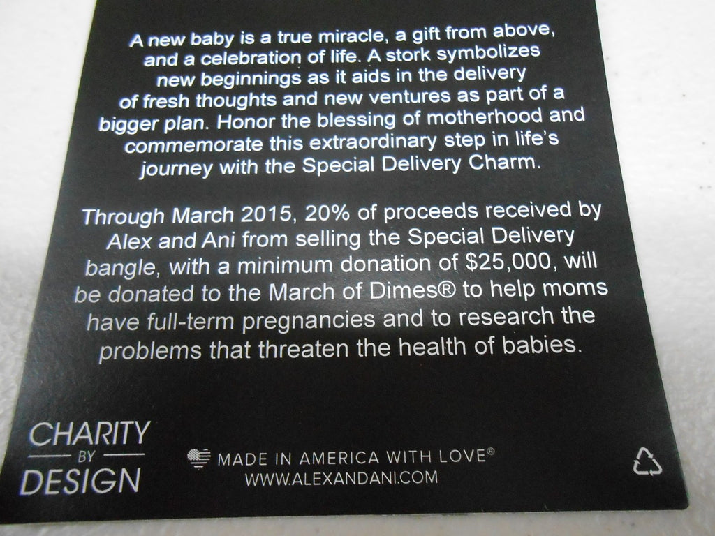 Alex and Ani Charity by Design Special Delivery Bangle Bracelet