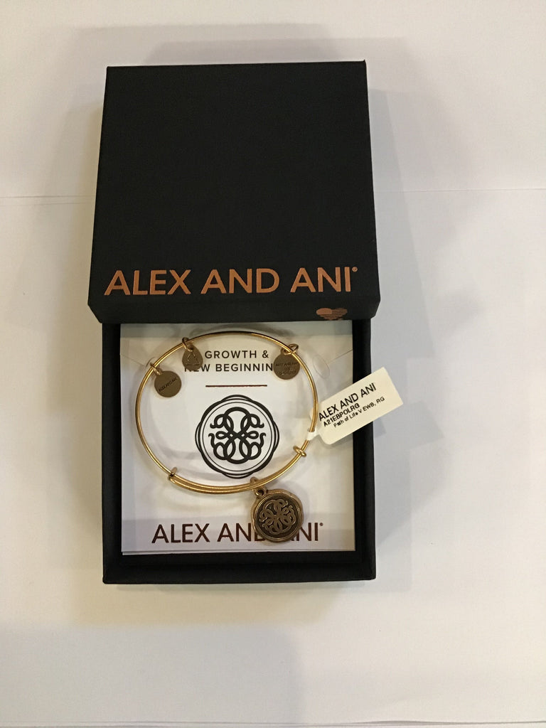 Alex and Ani Path of Life Bracelet