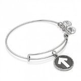 Alex and Ani Brass Stand Up Charm Bangle Bracelet in Rafaelian Silver Finish CBD14SUTCRS