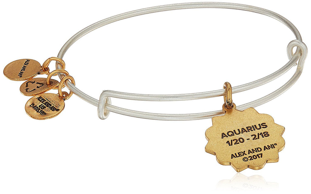 Alex and Ani Aquarius Two Tone Bangle Bracelet NWTBC