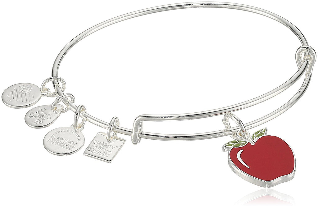 Alex and Ani Charity by Design, Apple EWB, Bangle Bracelet