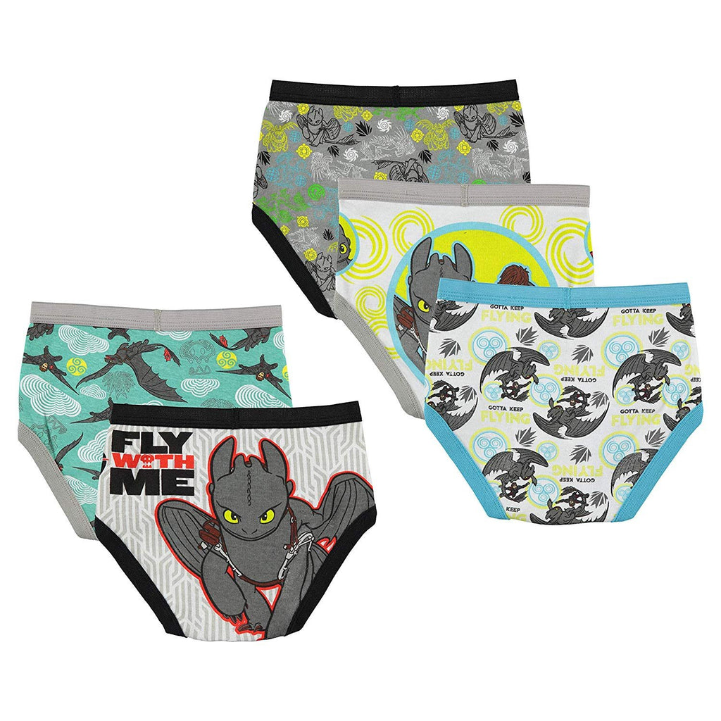 Universal Train Your Dragon 2 Boy's 5-Pack Brief