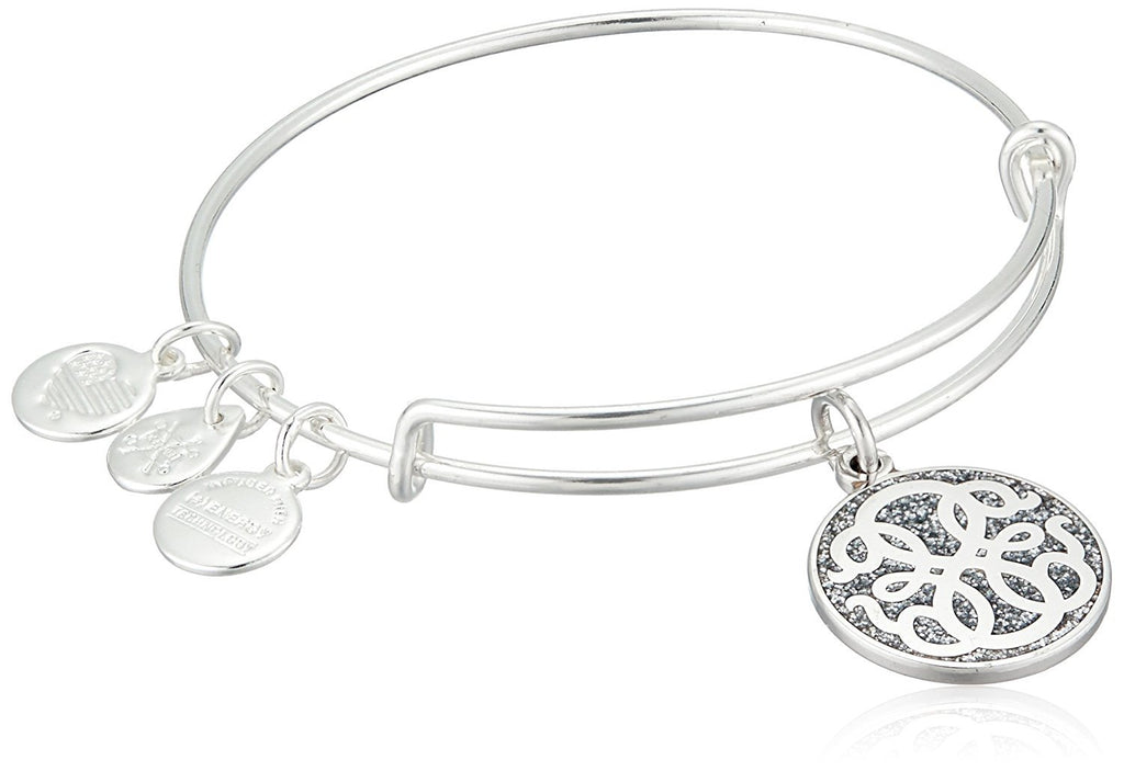 Alex and Ani Color Infusion, Path of Life EWB Bangle Bracelet