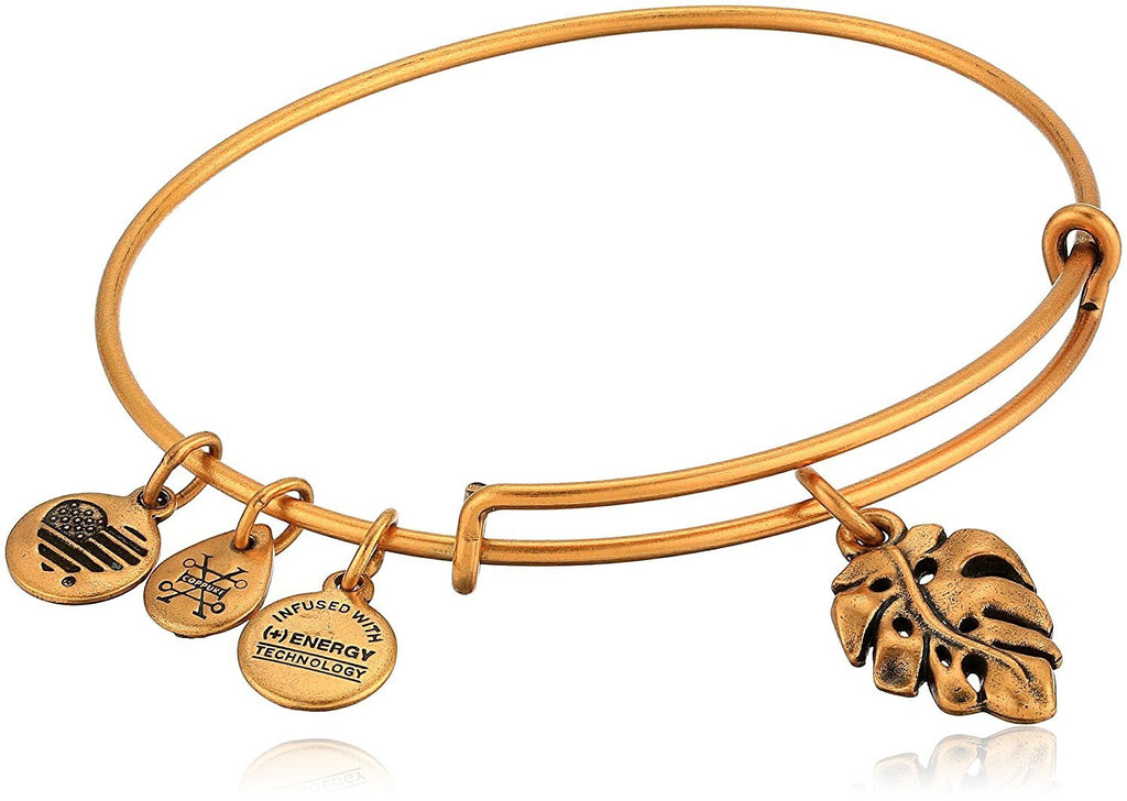 Alex and Ani Women's Palm Leaf Charm Bangle Bracelet, Rafaelian Gold, Expandable