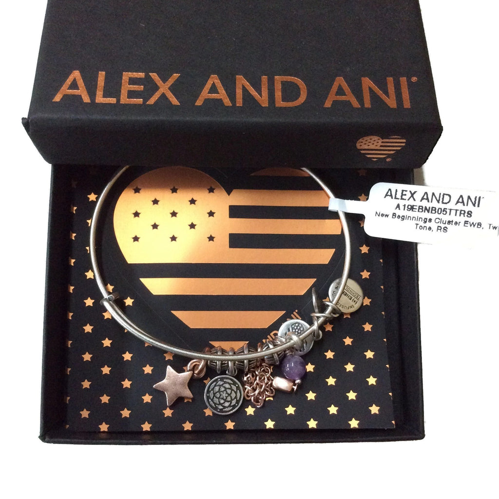 Alex and Ani Women's New Beginnings Cluster Charm Bangle Two Tone, Rafaelian Silver