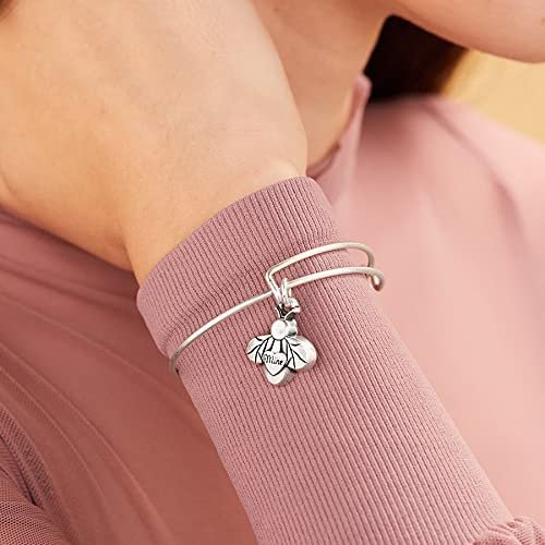 Alex and Ani Connections Expandable Bangle for Women, Love Symbols Charms, Rafaelian Finish, 2 to 3.5 in