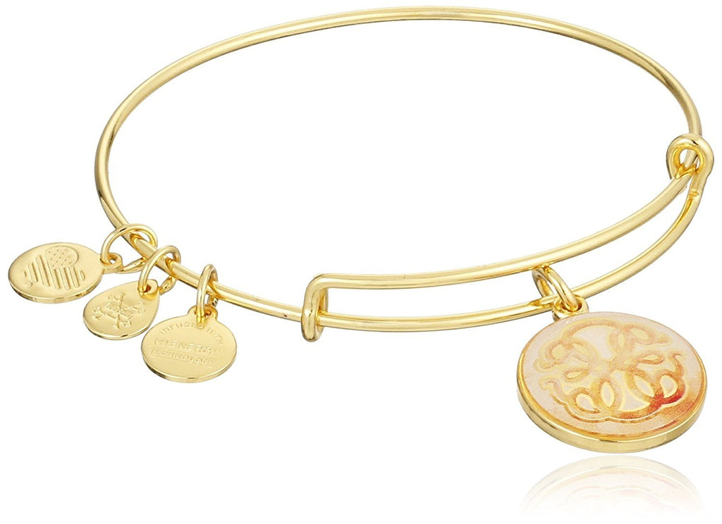 Alex and Ani Art Infusion Path of Life Expandable Rafaelian Gold-Tone Bangle Bracelet