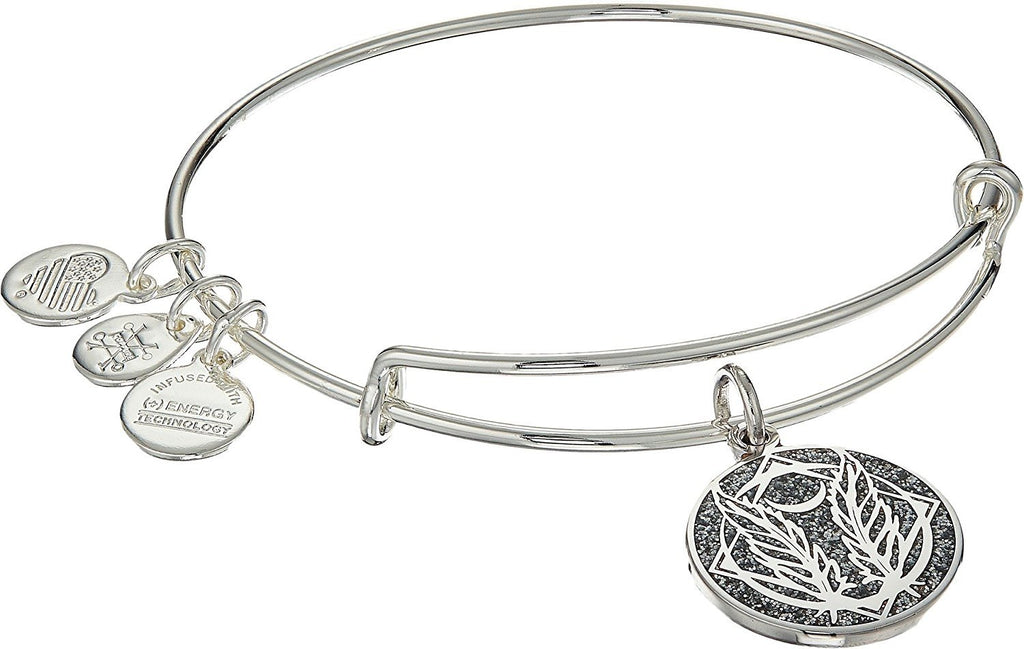 Alex and Ani Womens Color Infusion Godspeed Bangle