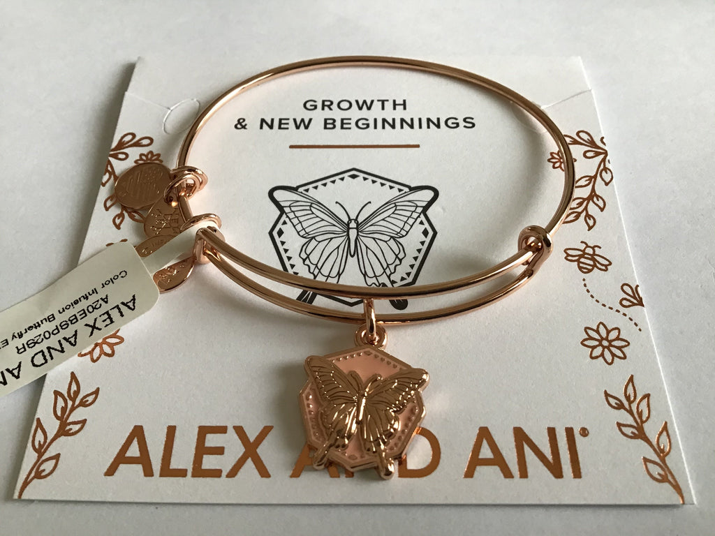 Alex and Ani Color Infusion Bangle Bracelet