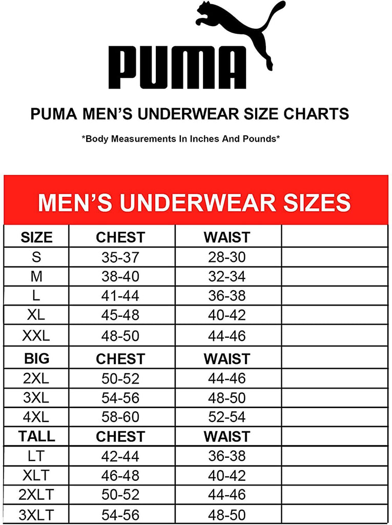 PUMA Men's Pride Boxer Brief, Rainbow, X-Large