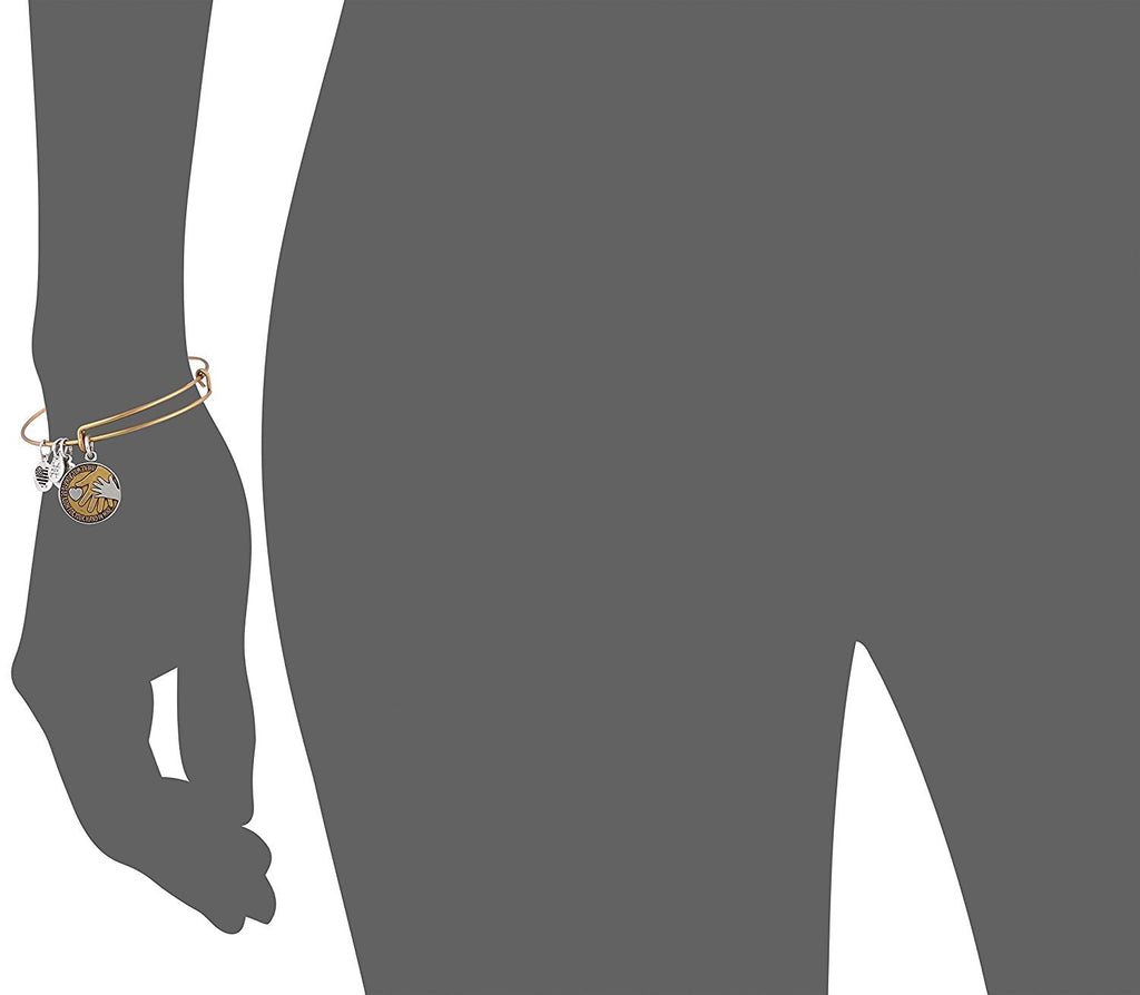Alex and Ani Women's Hand in Hand II, Two Tone EWB Bangle Bracelet, Rafaelian Gold, Expandable