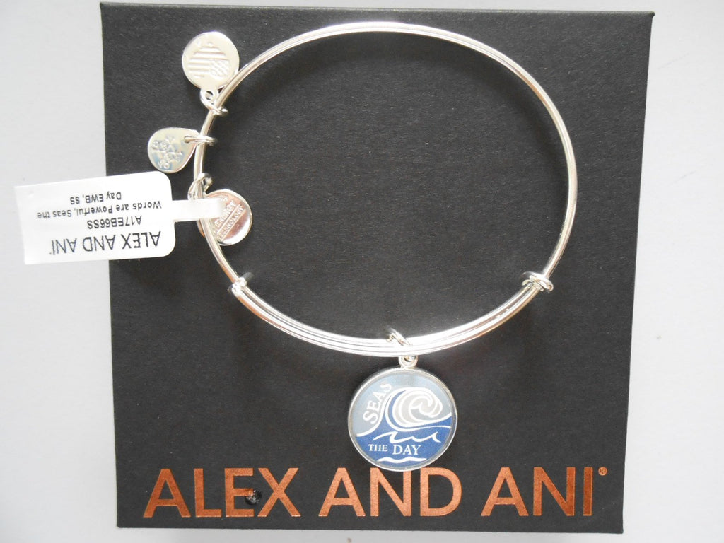 Alex and Ani Words are Powerful Bangle Bracelet