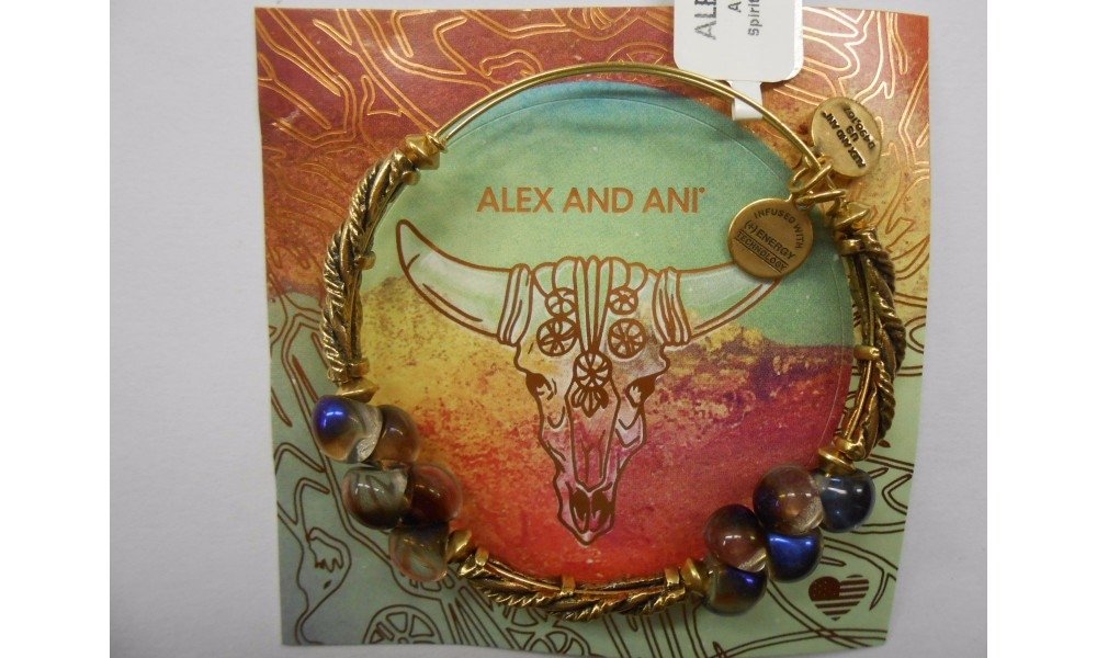 Alex and Ani Spirit Spiral EWB, Bangle Bracelet