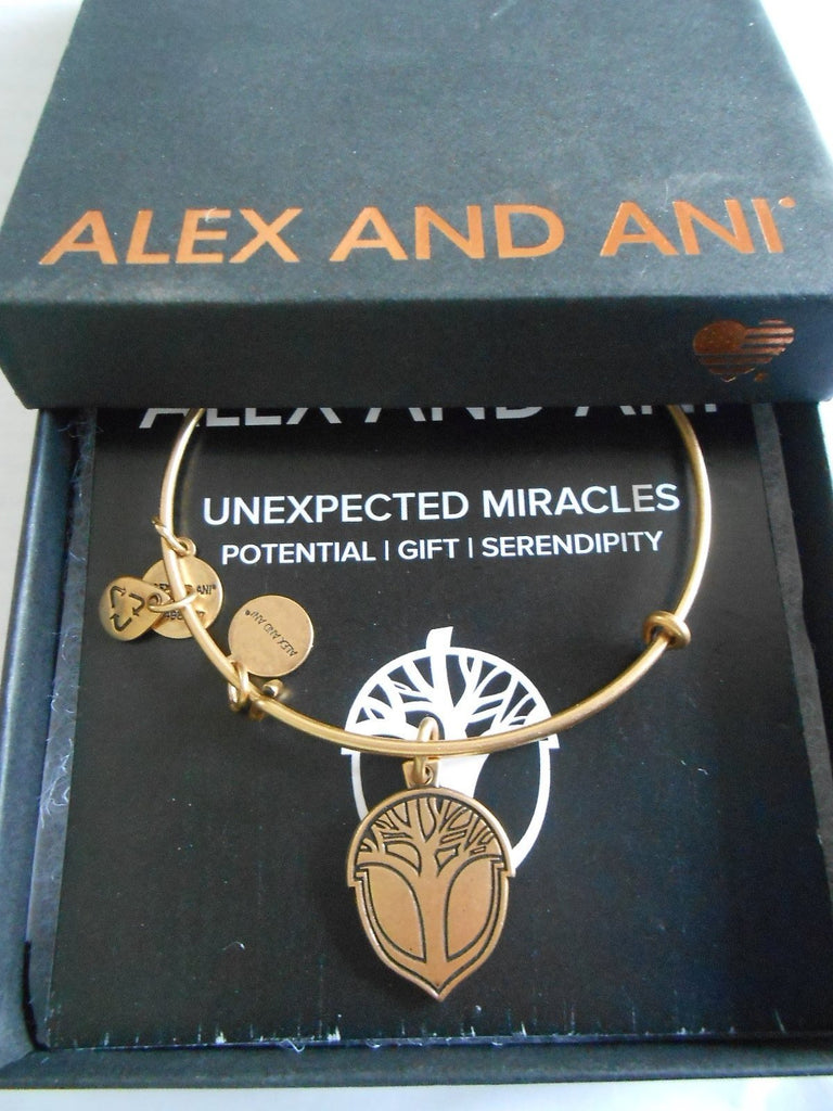 Alex and Ani Unexpected Miracles II Expandable Rafaelian Bangle Bracelet